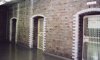 Image: interior walls and ceiling of the vault of the Main Building