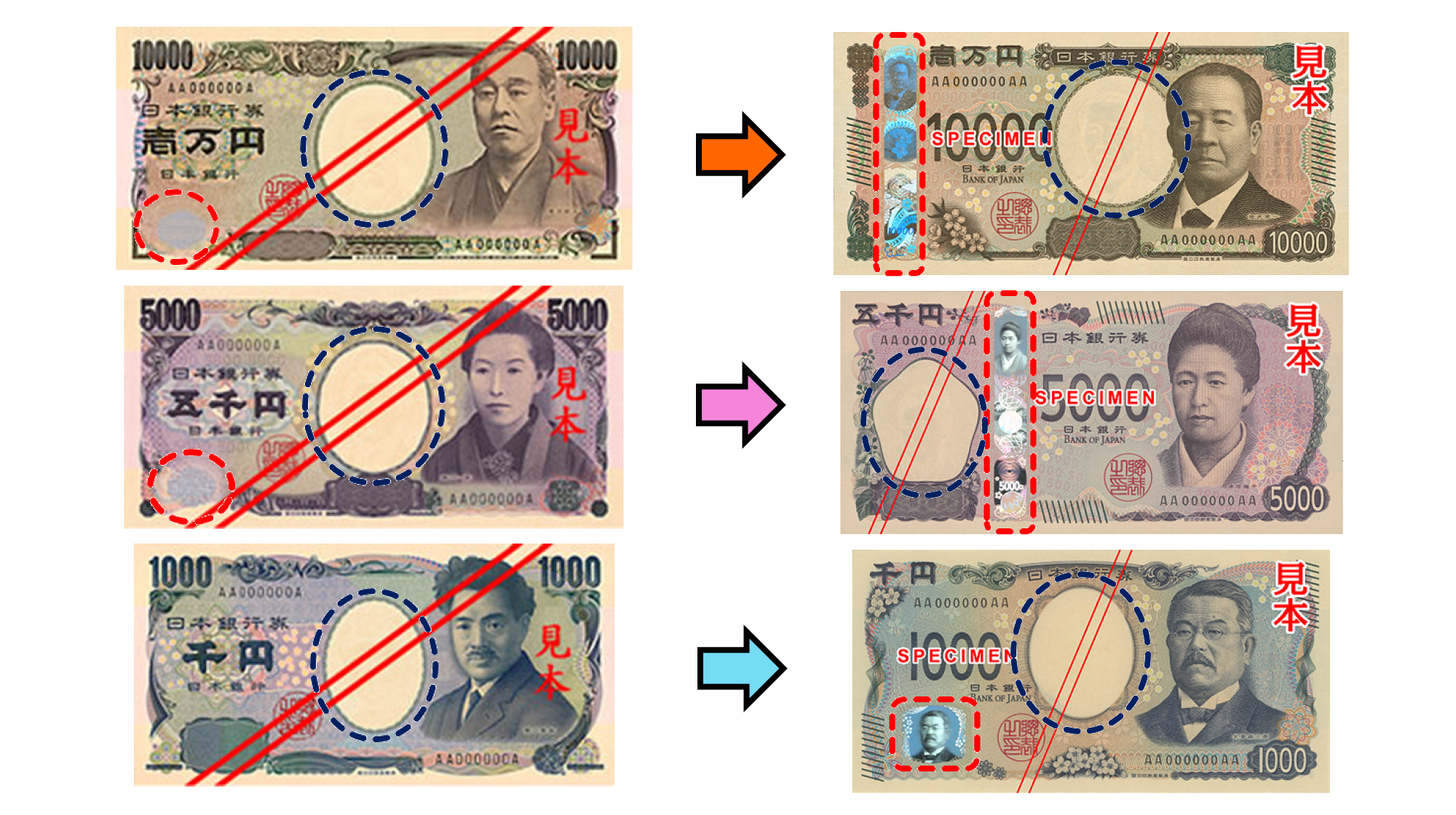 Images of the front of the current and new series of banknotes shown to compare the shape and position of the holograms and watermarks. On the 10,000 yen note, the holographic stripe is on the left, while on the 5,000 yen note, it is near the center. On the 1,000 yen note, the holographic patch is at the bottom left. The shape and position of the portrait watermark on the 5,000 yen note differs markedly from those on the 10,000 yen and 1,000 yen notes.