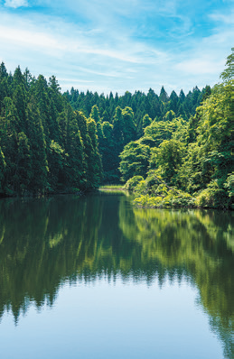 滝の頭湧水の遠景写真