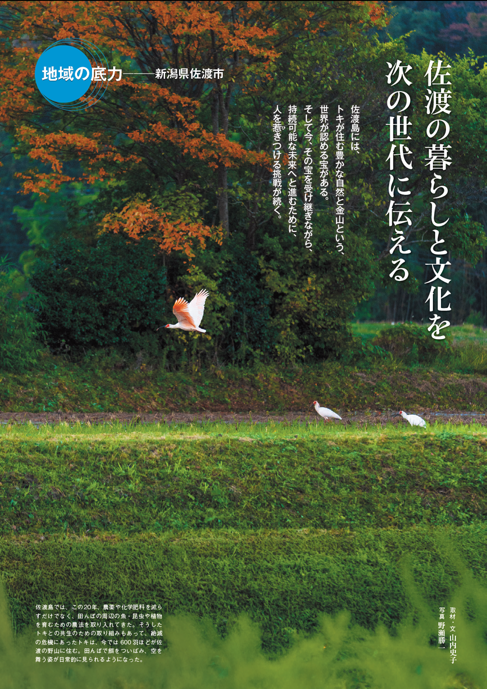 この記事の扉ページの画像。画像の内容の詳細は次のとおり