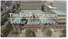 Screenshot from the introductory video