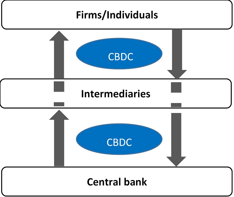 A diagram showing an indirect issuance model where CBDC is issued by a central bank to firms and individuals through intermediaries.