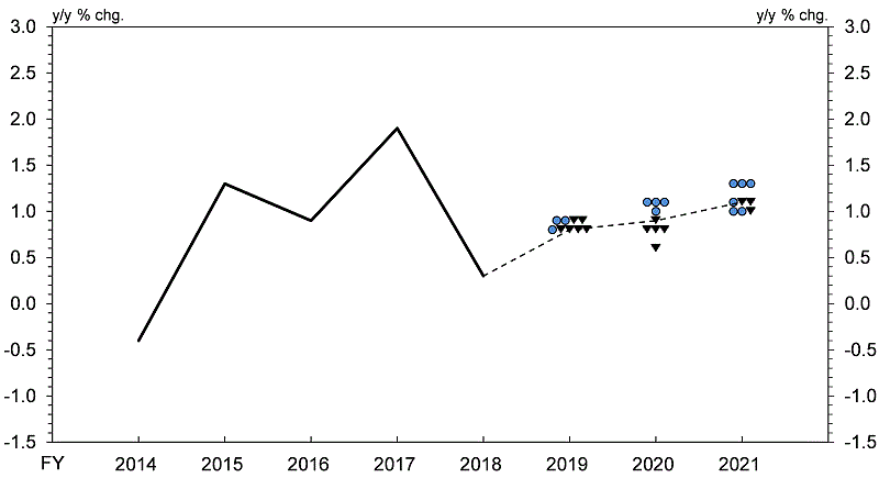 Actual value of Real GDP (y/y % chg.) Fiscal 2014 -0.4%, Fiscal 2015 1.3%, Fiscal 2016 0.9%, Fiscal 2017 1.9%,Fiscal 2018 0.3%. Forecasts of Real GDP (y/y % chg.) Fiscal 2019 0.9%: 2 colored circles and 2 black triangles, 0.8%: 1 colored circle and 4 black triangles, median: 0.8%.Fiscal 2020 1.1%: 3 colored circles, 1.0%: 1 colored circle, 0.9%: 1 black triangle, 0.8%:3 black triangles, 0.6% : 1 black triangle, median: 0.9%.Fiscal 2021 1.3%: 3 colored circles, 1.1%: 1 colored circle and 2 black triangles, 1.0%: 2 colored circles and 1 black triangle, median: 1.1%.