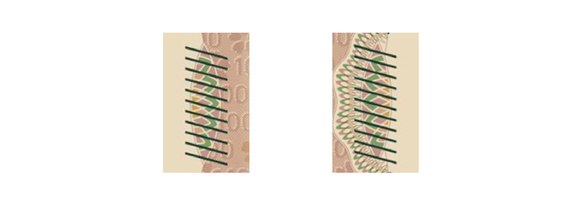 Images of eleven parallel diagonal lines. These are printed on the right and left edges of the front of the 10,000 yen note.