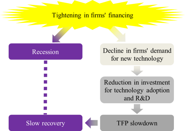 Concept chart of the overview of the Ikeda and Kurozumi (2014) model. The details are explained in the main text.