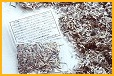 Shredded banknotes